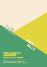 VIH et Santé sexuelle dans les milieux afro-descendants : un plan opérationnel